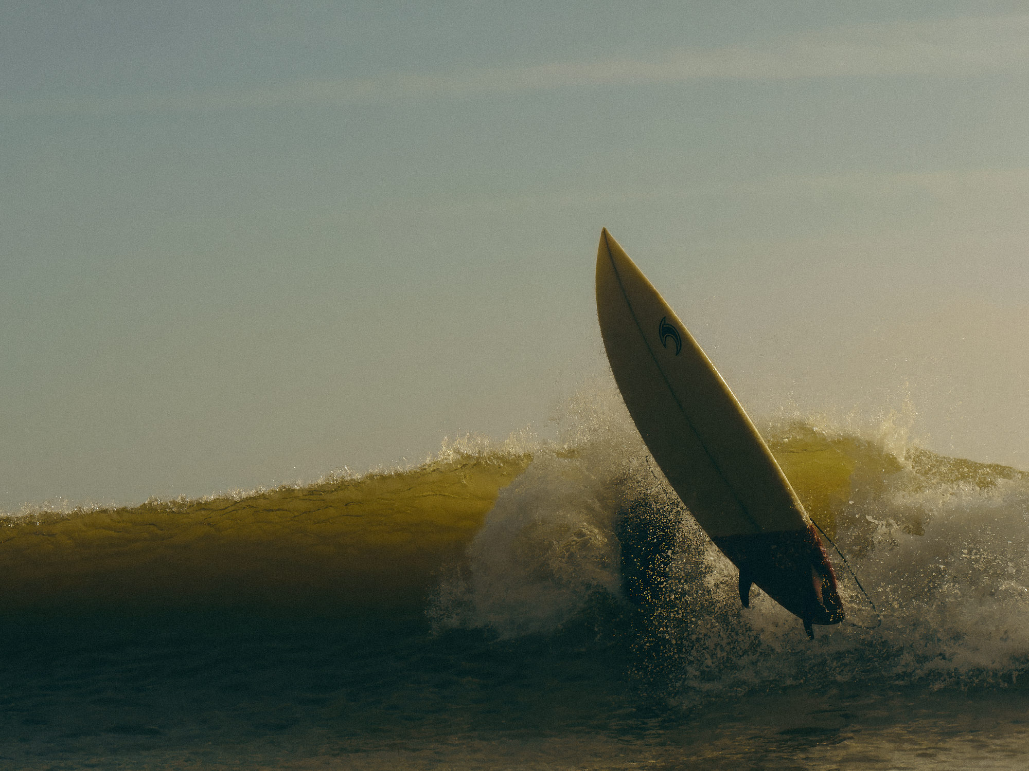 Missing Surfer