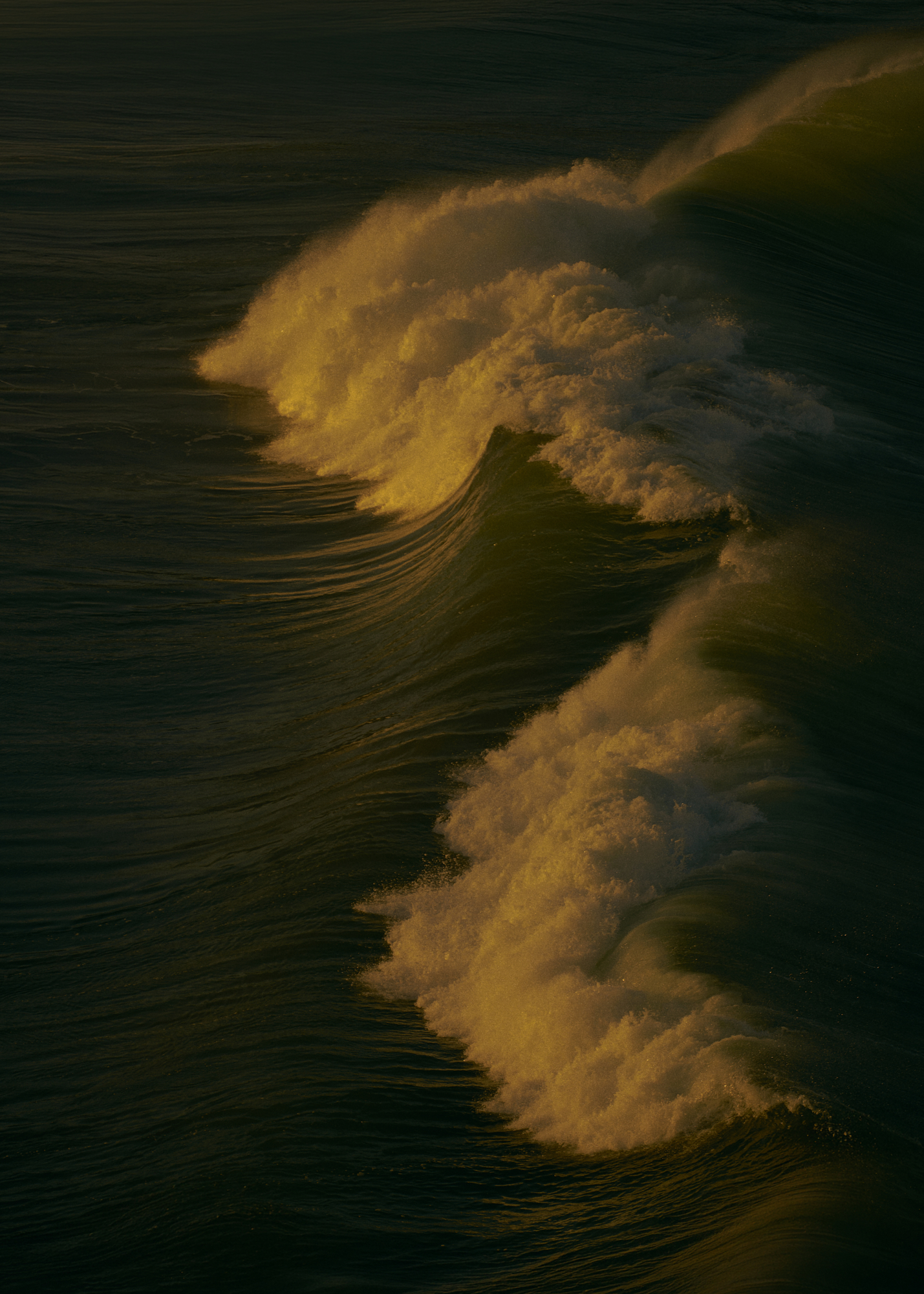 Wave Mirleft